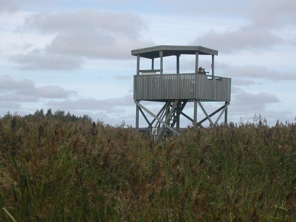 Nuorisokeskus Villa Elba 科科拉 外观 照片
